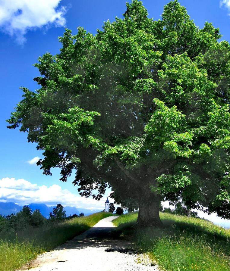 Bajta Kroparica ภายนอก รูปภาพ