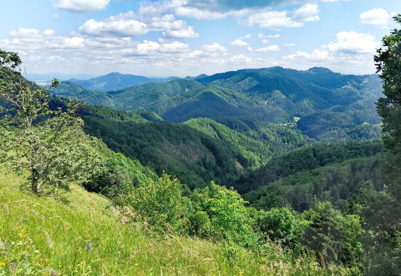 Bajta Kroparica ภายนอก รูปภาพ